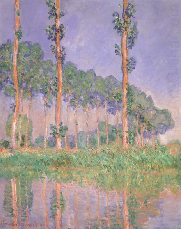 Claude Monet Poplars,Pink Effect china oil painting image